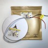 STRIP LED 24V 18W 3000K 2835 240LED/MT BOB 5MT CRI 90